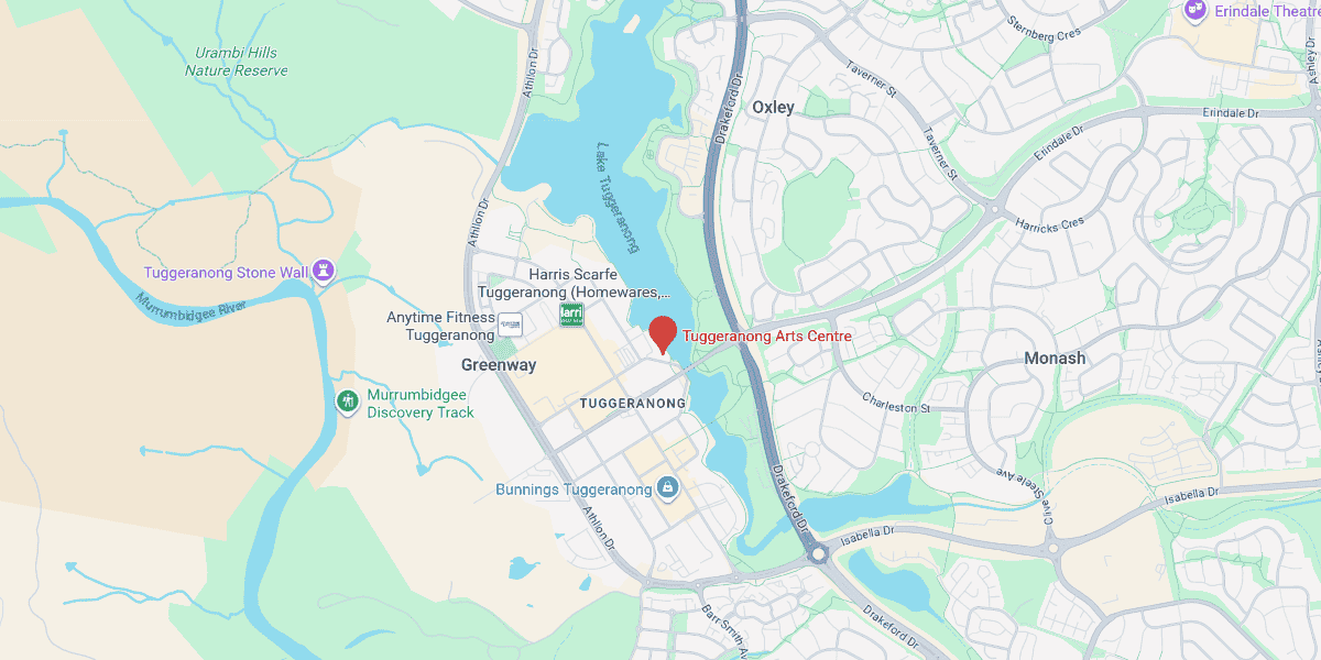 Local Geeks Computer Repair Experts in Tuggeranong